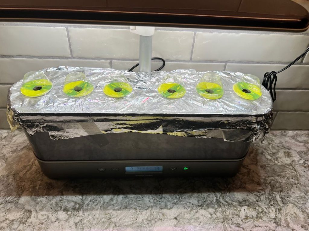 how-to-prevent-algae-in-aerogarden