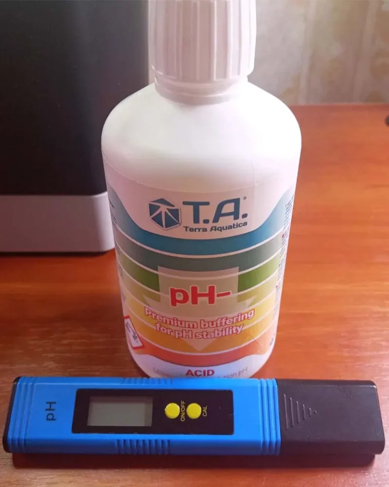 7 Common AeroGarden Problems (And How to Fix Them Fast)