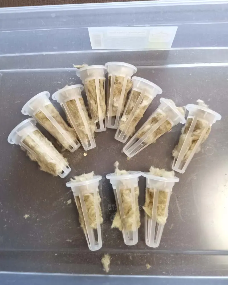 rockwoool in aerogarden