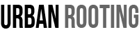 Urban Rooting