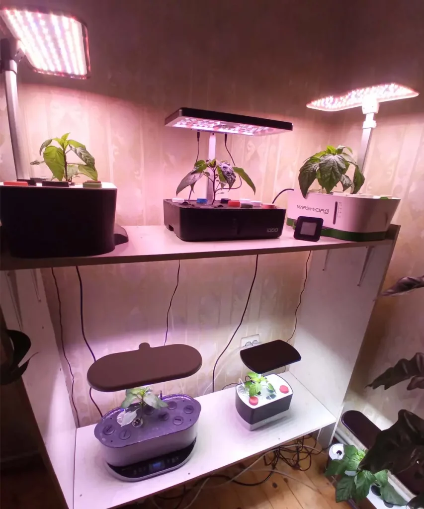 Multiple countertop hydroponic systems growing peppers and leafy greens under LED grow lights on a two-tier indoor shelving unit.