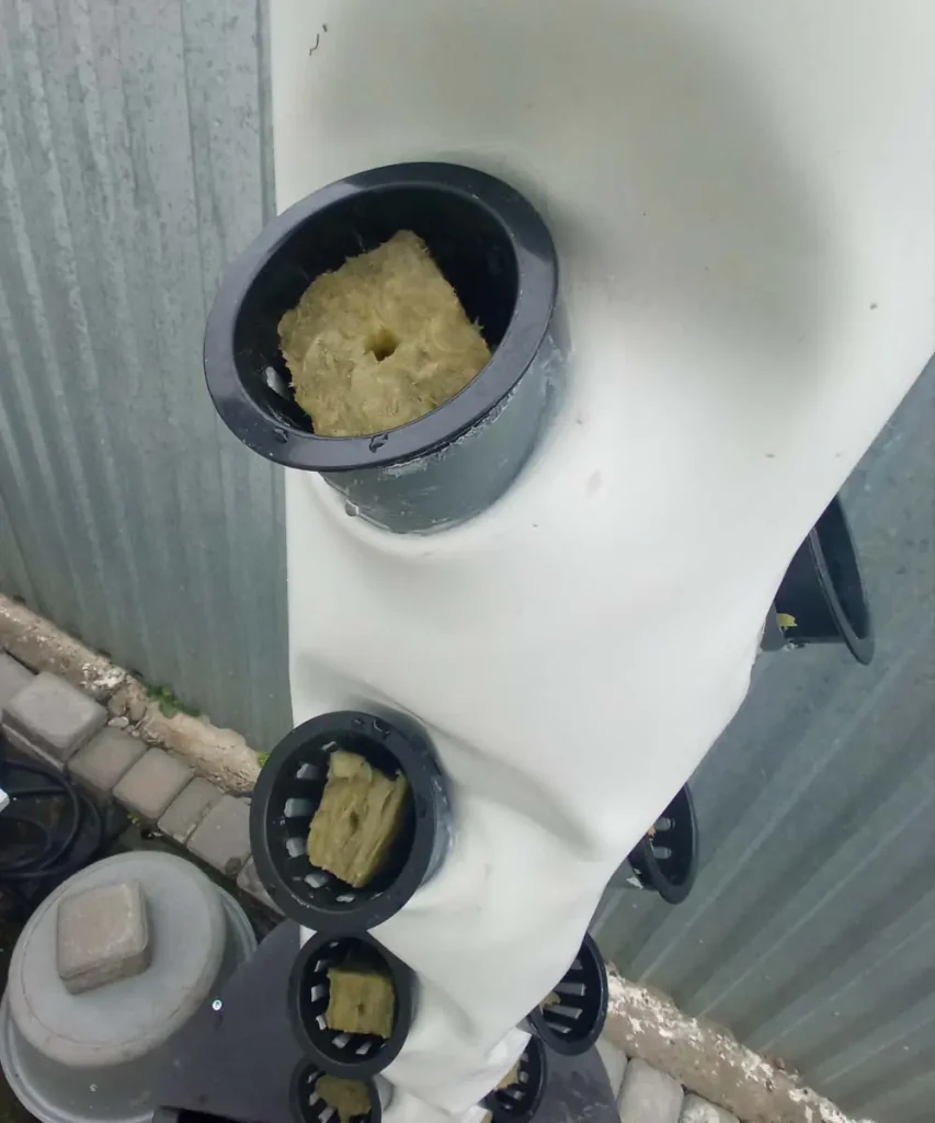 Black mesh net pots are inserted at angles into ports in the tower. The top visible pot contains a beige-colored cube of rockwool grow medium with seeds.
